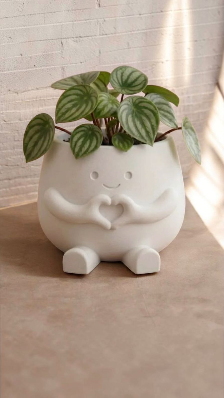 Set pareja de matereros corazón - vista con planta