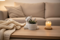 Maceta gatito – sala acogedora